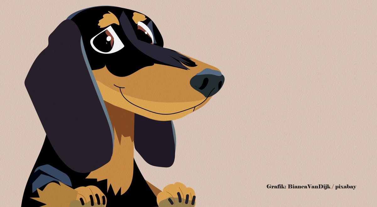 Alle Hunde heißen&nbsp;Hier